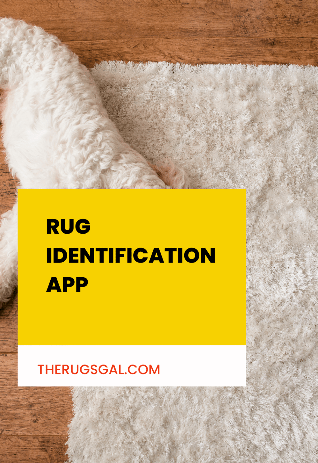 Rug Identification App How to Find Out the Origin and Value of Your Rug