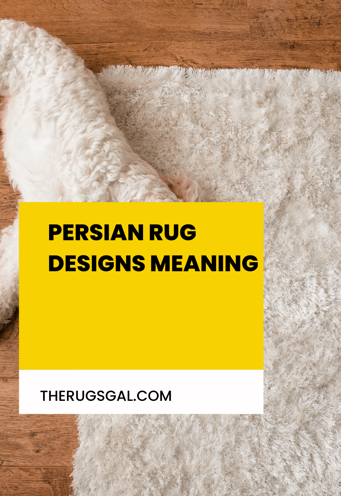 Persian Rug Designs Meaning