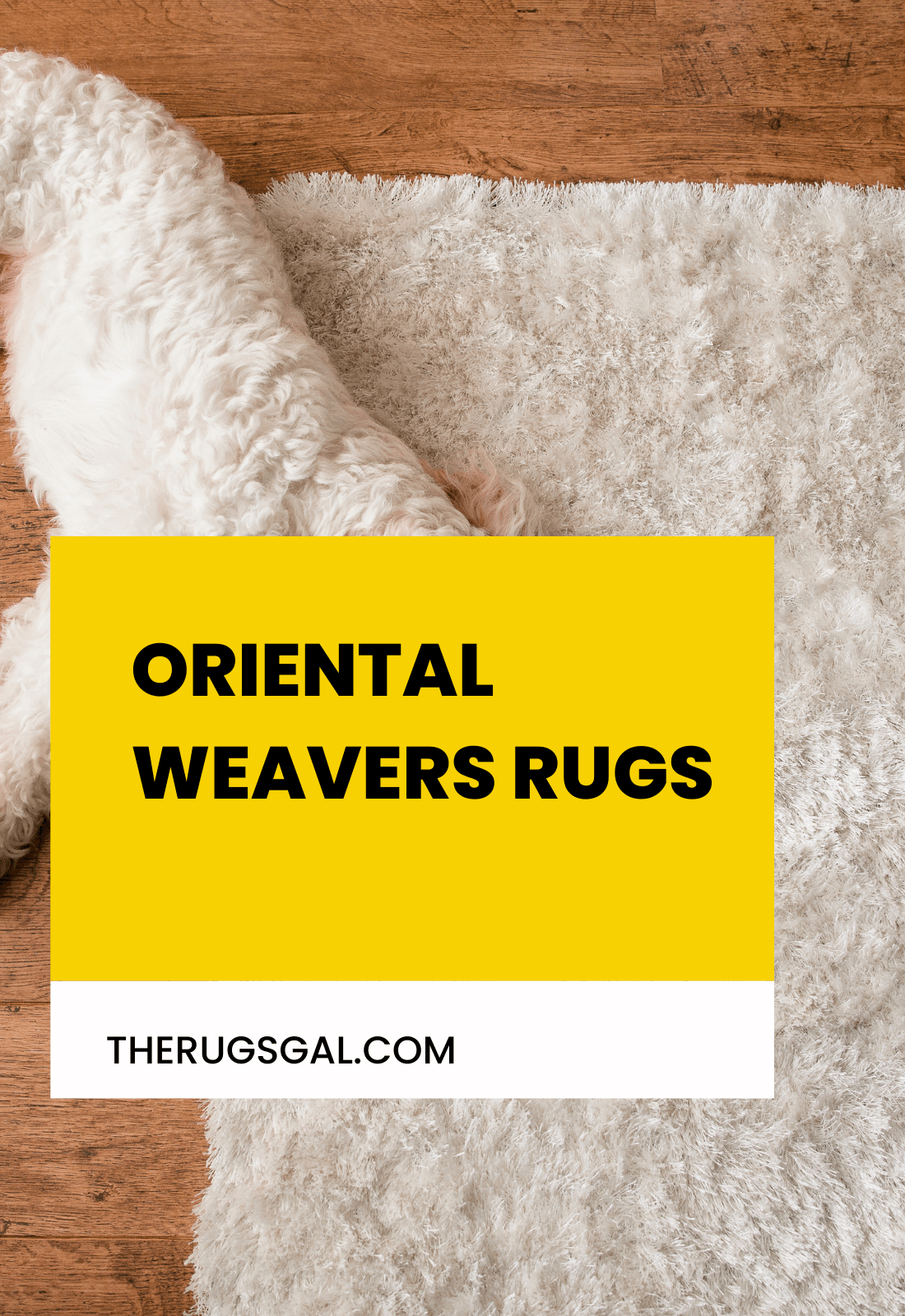 Oriental Weavers Rugs