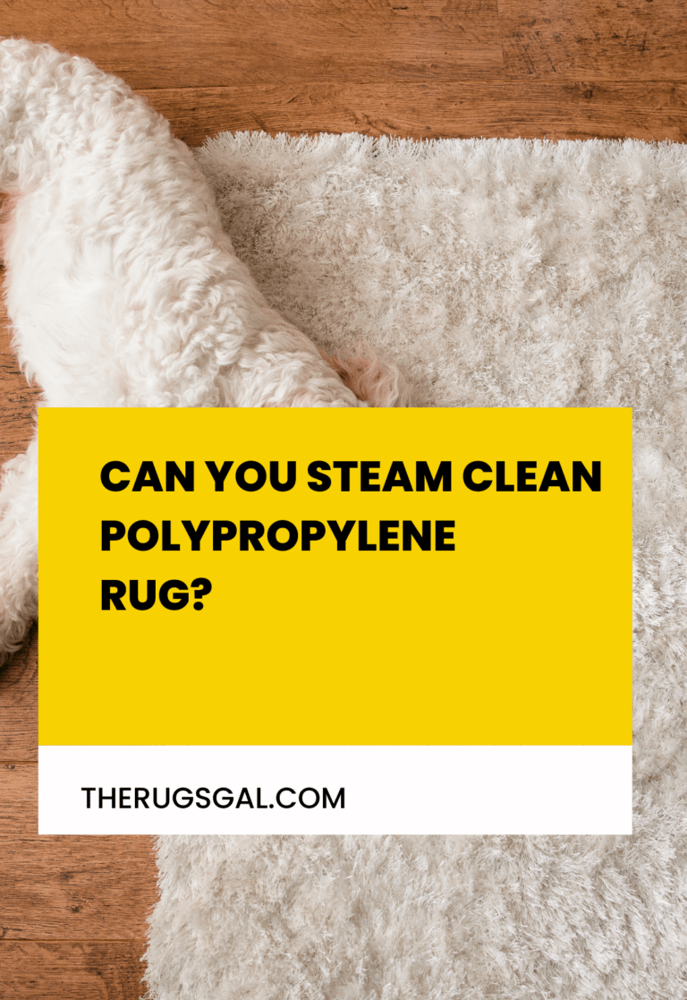 Can You Steam Clean Polypropylene Rug?