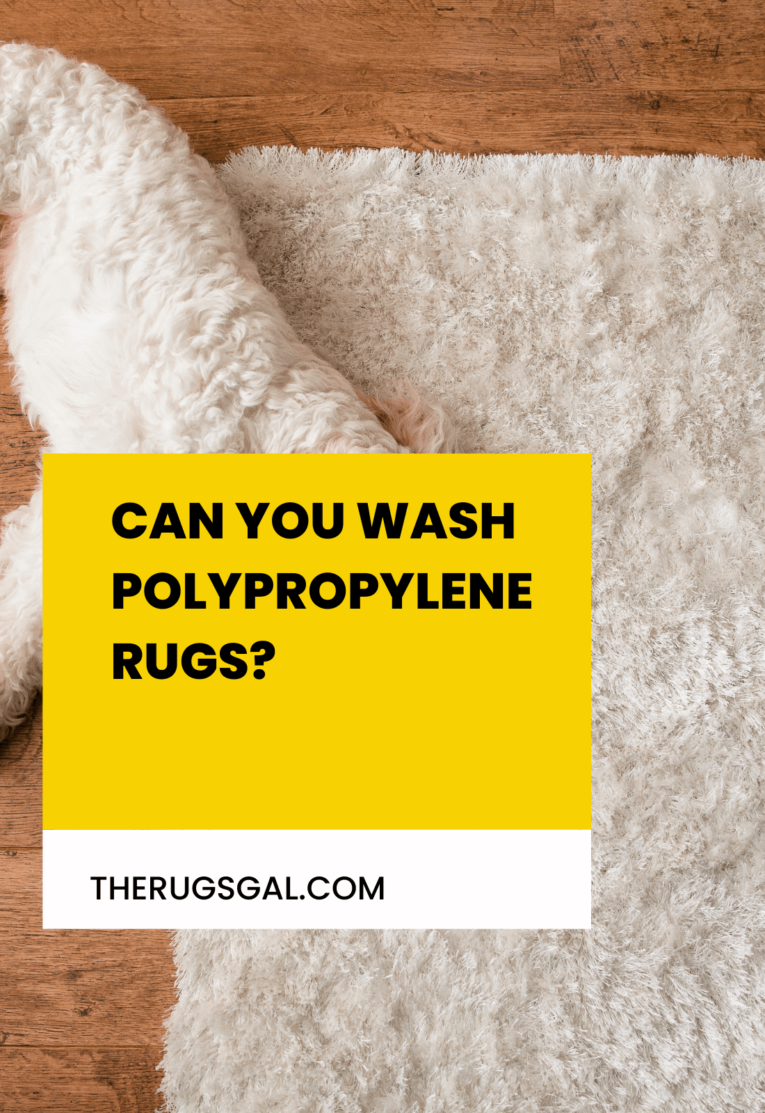 Can you wash polypropylene rugs?