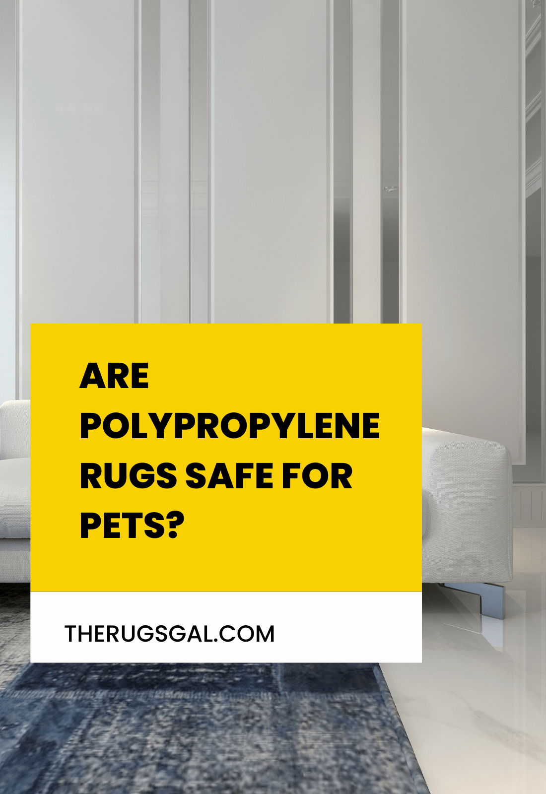 Are Polypropylene Rugs Safe for Pets?