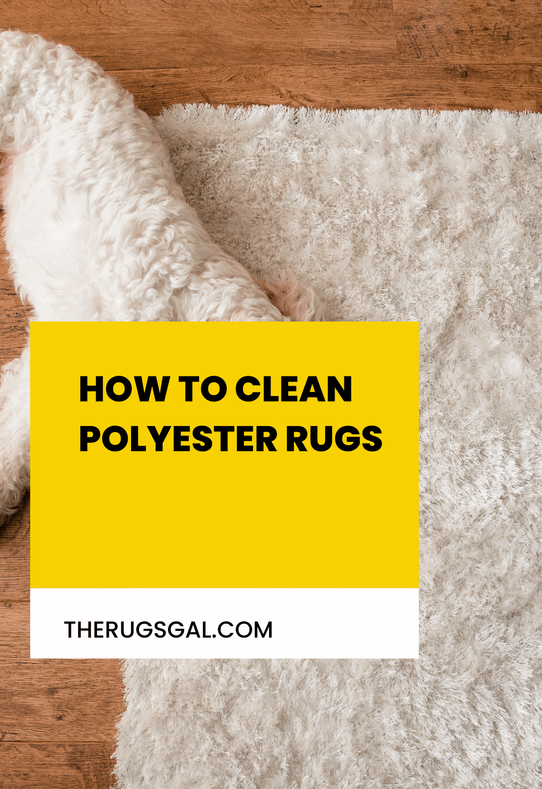 How to Clean Polyester Rugs