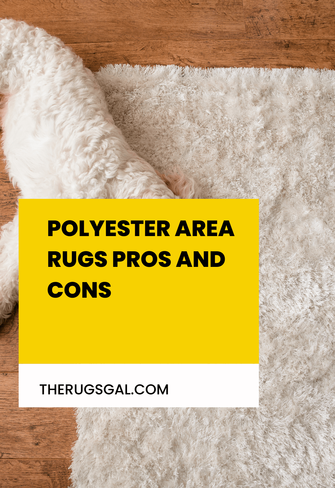 Polyester Area Rugs Pros and Cons